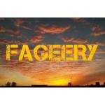 fageery Profile Picture
