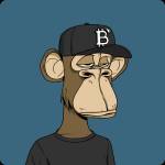 Bored ape Profile Picture