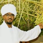امين عبدالمجيد Profile Picture