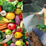 Food Safety&Hygiene Speciali Profile Picture